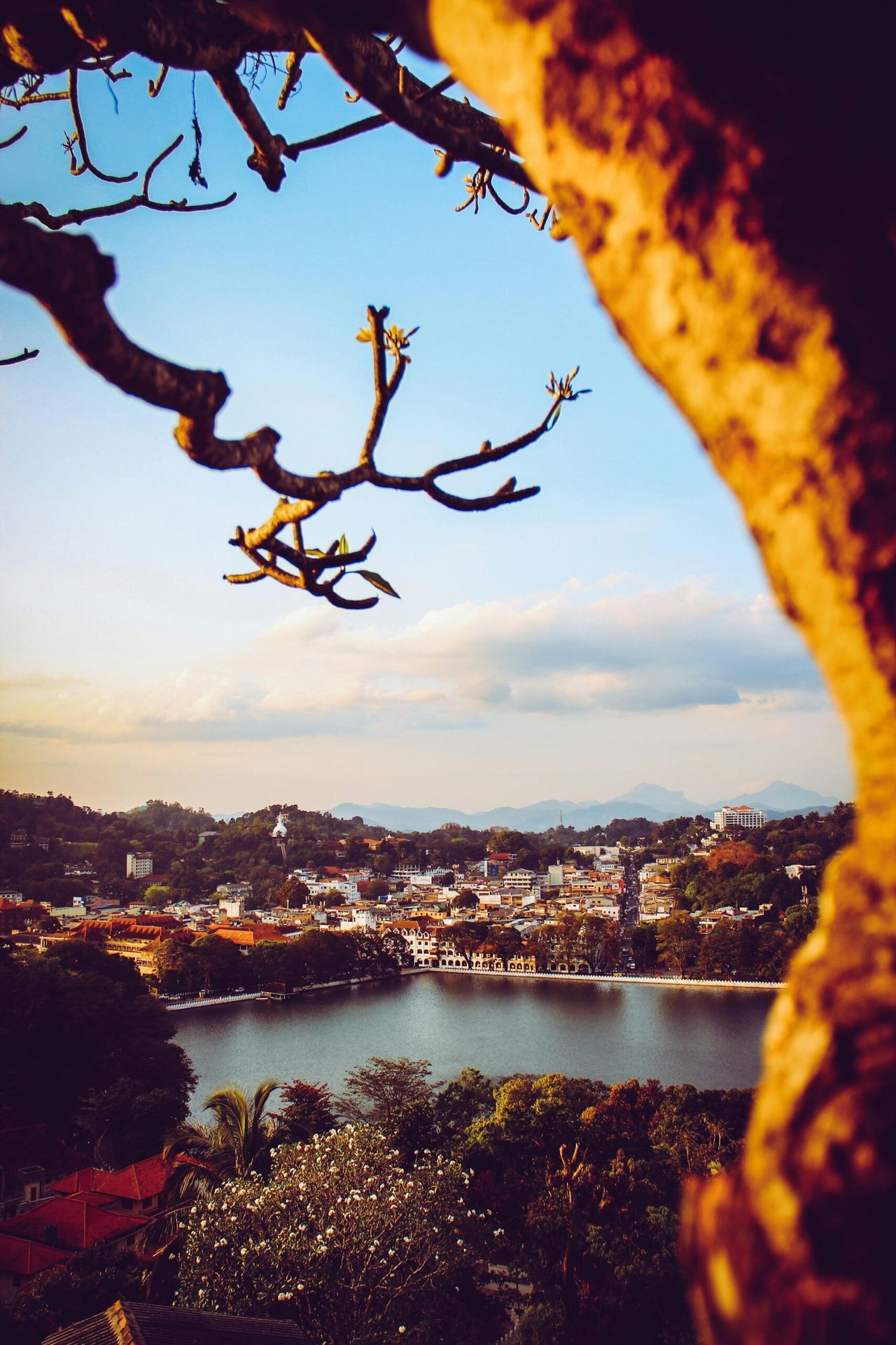 Luxury Hotel Kandy | Kings Pavilion Kandy Official Site